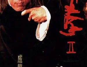 1994 经典港片《醉拳2》：成龙梅艳芳黄日华狄龙 国语中字 590M RMVB 资源