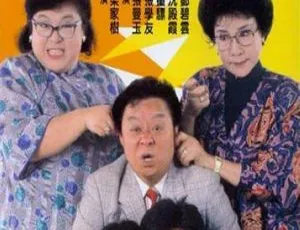 1988香港经典《南北妈打》：董骠 沈殿霞 张曼玉 邓碧云 张学友 国语中字TS 2.65G
