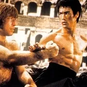 1972《猛龙过江 猛龍過江》[剧情/喜剧/动作/惊悚/犯罪][汉语普通话/全1集5G][百度下载]
