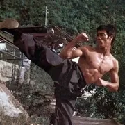 1972《猛龙过江 猛龍過江》[剧情/喜剧/动作/惊悚/犯罪][汉语普通话/全1集5G][百度下载]