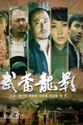 [2008][中国][武当龙影][国语中字][TS][4.96GB][百度网盘]