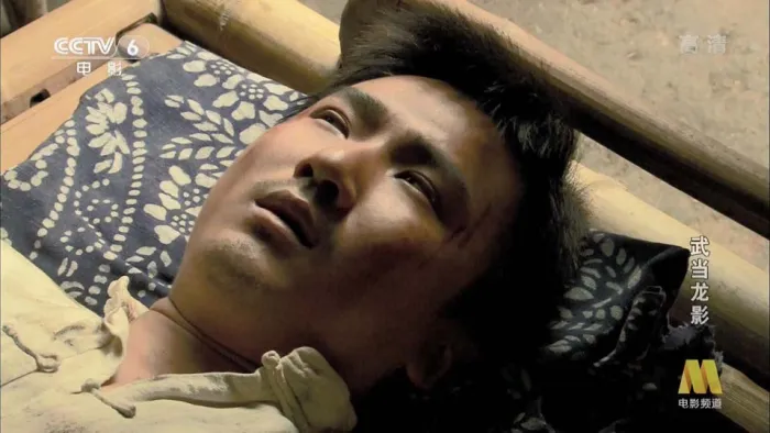 [2008][中国][武当龙影][国语中字][TS][4.96GB][百度网盘]
