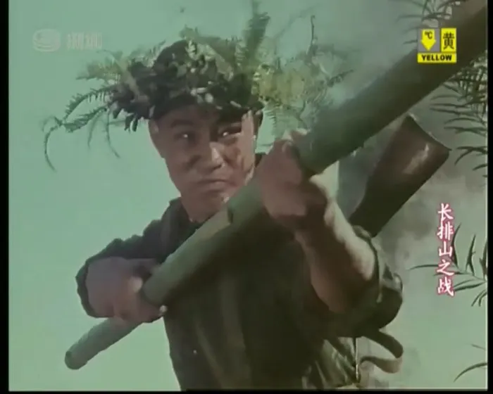 [1981][中国内地]《长排山之战》[越战][国语中字][MKV_378MB]