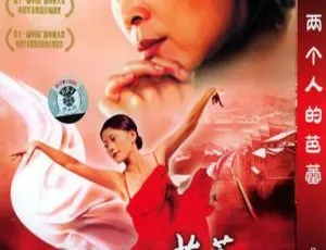 2005 中国内地经典影片《两个人的芭蕾 Duet》：倪萍 李璐 奚美娟主演 国语无字 MKV 532M