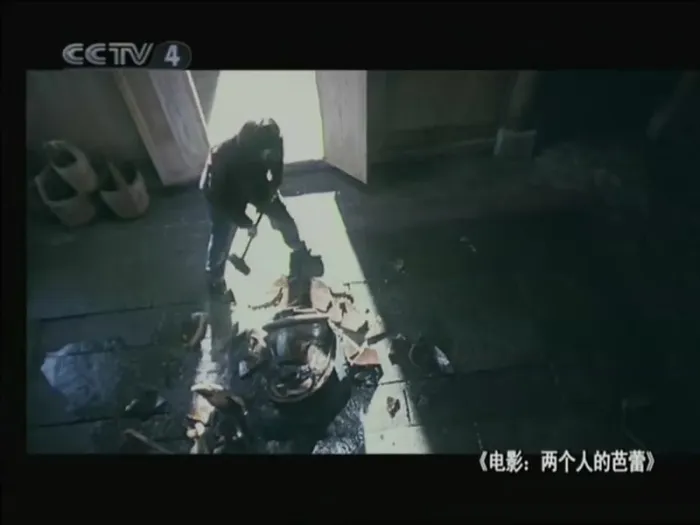 [2005年][中国内地]《两个人的芭蕾_Duet》[倪萍_李璐_奚美娟][国语_无字][MKV_532M]