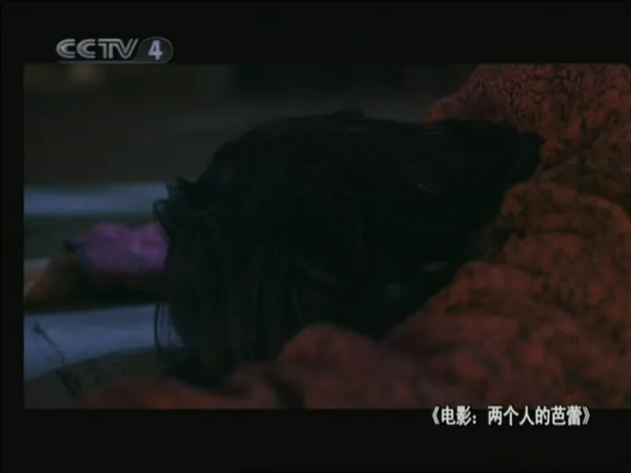 [2005年][中国内地]《两个人的芭蕾_Duet》[倪萍_李璐_奚美娟][国语_无字][MKV_532M]