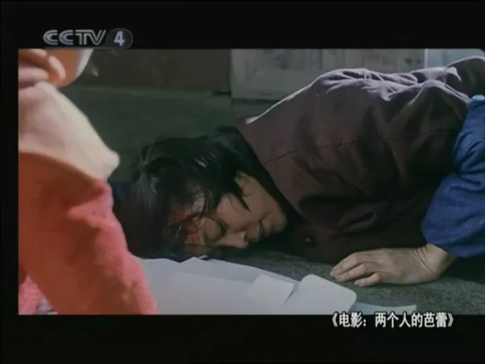 [2005年][中国内地]《两个人的芭蕾_Duet》[倪萍_李璐_奚美娟][国语_无字][MKV_532M]