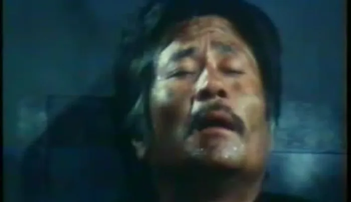 [1987][台湾]《忍者兵团》[2VCD][国英语无字][DAT-969MB]