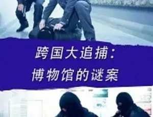 2016跨国大追捕：博物馆谜案 汉语普通话全1集4.85G 百度下载