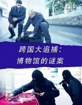 2016《跨国大追捕：博物馆的谜案》[汉语普通话/全1集4.85G][百度下载]
