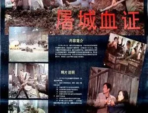 1986 中国震撼大片《屠城血证》国语中字 TS 12.25GB 百度网盘资源