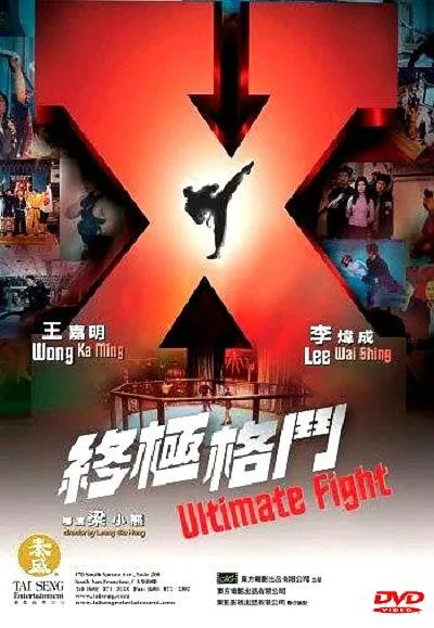 [2004][香港][终极格斗][国语中文字幕][MP4][2.46GB][百度盘]