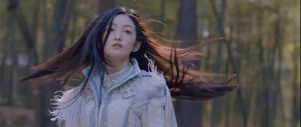 [中国大陆][2021][剧情][大理风云之血蝴蝶][国语中字][1.57G][百度网盘]