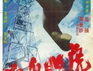 1974 台湾经典《虎胆追魂》高清修复国语中字 4.74G 百度盘资源