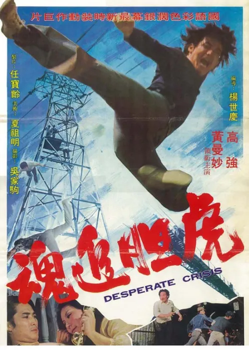 [1974][台湾]《虎胆追魂》[国语中字].MKV_4.74G_高清修复版[百度盘]