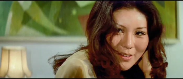 [1974][台湾]《虎胆追魂》[国语中字].MKV_4.74G_高清修复版[百度盘]