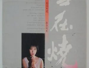 1988 香港经典《雪在烧》国语中字 DVDRip_MKV 1.37G 资源