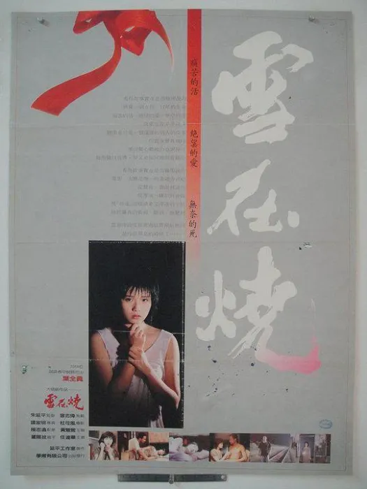 [1988][香港] 《雪在烧》[国语中字] [DVDRip_MKV_1.37G]