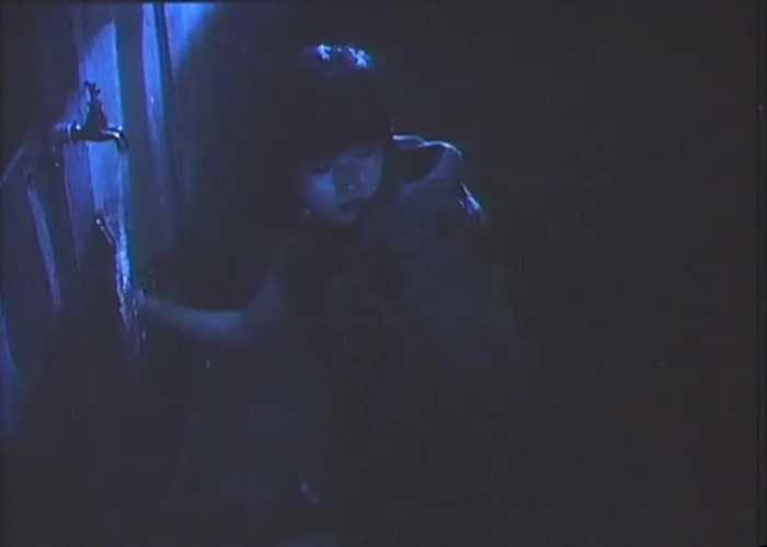 [1988][香港] 《雪在烧》[国语中字] [DVDRip_MKV_1.37G]