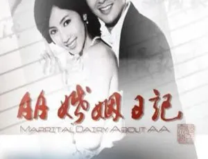 2010 中国大陆《AA婚姻日记》国语中字 4.60GB 百度网盘资源