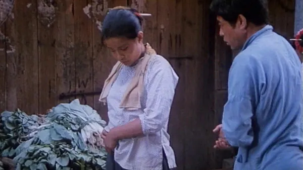 [1986][中国大陆] 《苦藏的恋情》[国语中字][1.88GB][ 百度网盘]