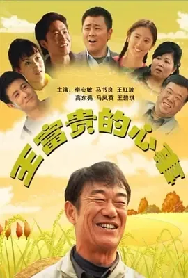 2010《王富贵的心事》[汉语普通话/全1集4.45G][百度下载]