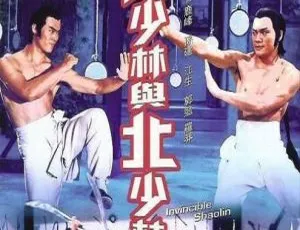 1978 香港经典功夫片《南少林与北少林》国语中字 696MB AVI 百度盘资源
