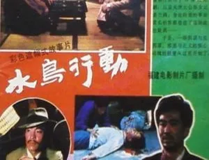1986 中国经典《水鸟行动》国语中字 1.18GB 百度网盘资源