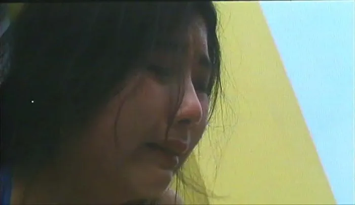 [1994][香港][张保仔][国语_中英硬字幕][MKV][1.55GB][百度盘]