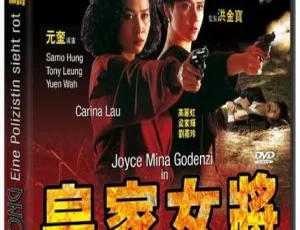 1990 香港经典《皇家女将》：洪金宝梁家辉等众星云集 国粤双语中字 1.35G MKV 资源-小文资源网