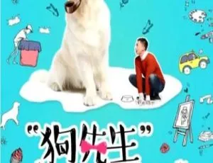 2018 中国大陆《狗先生追爱记》国语中字 4.59GB 百度网盘资源-小文资源网