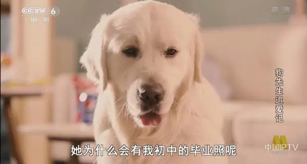 [2018][中国大陆]《狗先生追爱记》[国语中字][4.59GB][ 百度网盘]