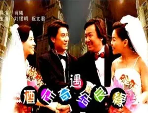 2004 中国大陆《酒店奇遇结良缘》国语中字 4.52GB 百度网盘资源