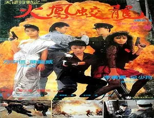 1988 香港经典《天使行动II火凤狂龙》国粤语中英字 DVD5 3.53G 资源-小文资源网