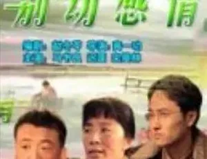 2006 必看！《法官老张轶事之别动感情》剧情喜剧，普通话全 1 集 5G 百度可下