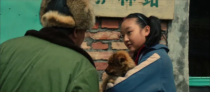 [2017][中国][血狼犬][MKV][国语中字][1.51GB][1080P][百度网盘]