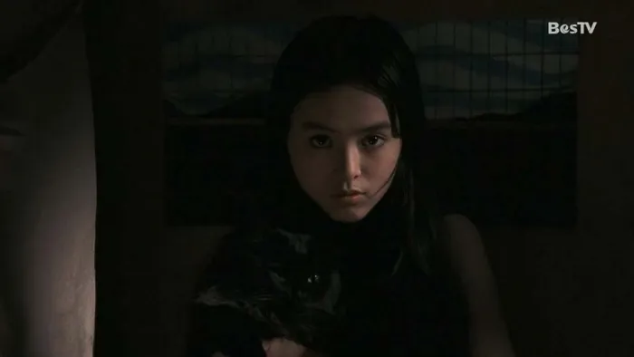 [1991][香港][老猫][国语无字][MKV][2.50GB][百度网盘]