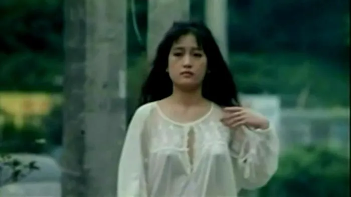[1994][香港][美丽陷阱][国语中英字][MKV][1.55GB][百度网盘]