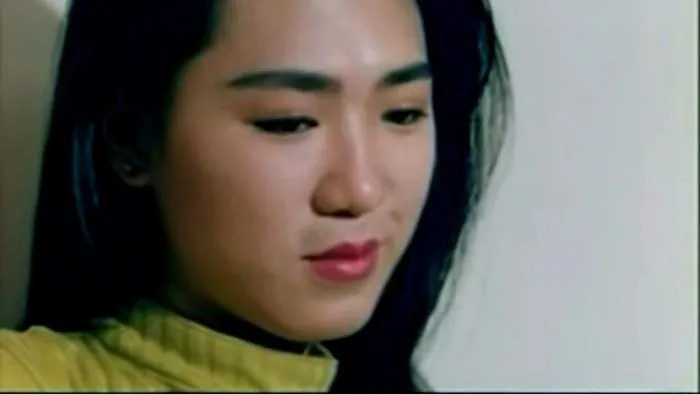 [1994][香港][美丽陷阱][国语中英字][MKV][1.55GB][百度网盘]