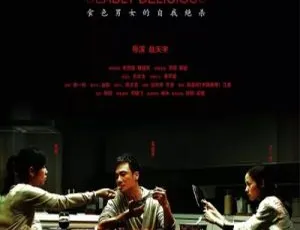 2008 中国经典《双食记》国语中字 395MB 百度网盘资源