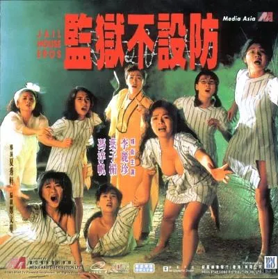 [1970][香港] 《 监狱不设防 》 [1990][DVD_335M][百度盘]