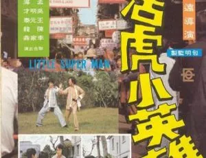 1975 香港经典：黄元申 梁小龙 洪金宝《生龙活虎小英雄》国语无字 MKV 1.72G