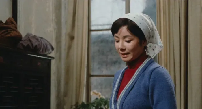 [1982][大陆]《一盘没有下完的棋》[1080P高清MKV_5.5G][百度盘]