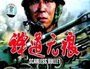 1994 中国大陆经典《弹道无痕》国语中字 1.20GB 百度网盘资源