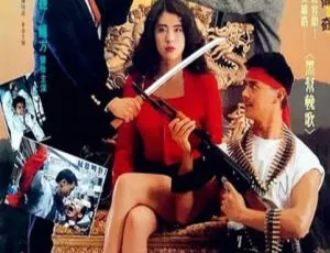 1990 中国大陆经典《血洗洪花亭》 国语中字 1.83GB 百度网盘资源