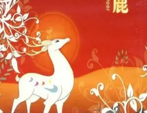 中国大陆1981经典动画《九色鹿》 国语中字 1.82GB 百度网盘资源