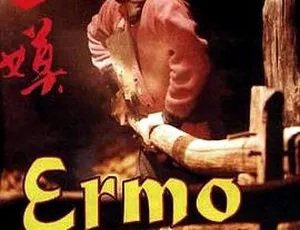 1994 大陆经典影片《二嫫》：汉语无字版 415M mkv 资源