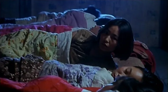 [1994][大陆]《二嫫_Ermo》[汉语无字][mkv_415M]