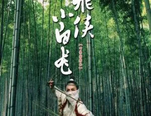 2004 香港经典：张柏芝 吴镇宇 安志杰主演《飞侠小白龙》国语中字高清MKV 2.17G