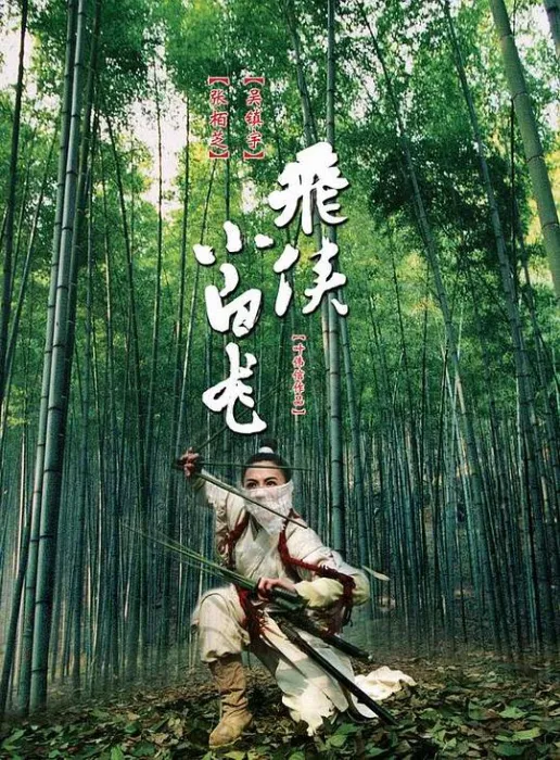 [2004][香港]《飞侠小白龙_The White Dragon》[国语中字][MKV_2.17G][张柏芝_吴镇宇_安志杰]